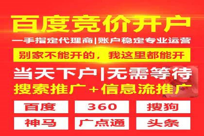 行业领先SEM服务公司案例研究